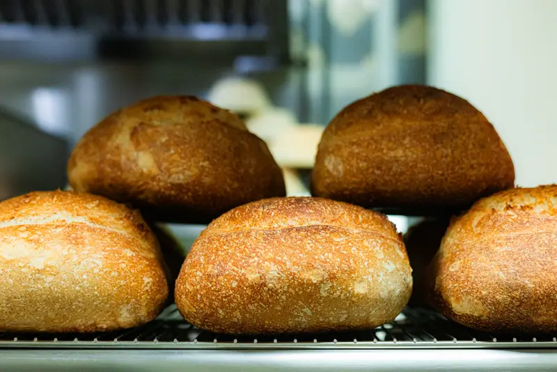 Round crusty bread rolls on a bakery rack